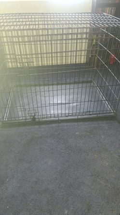 Dog Cage