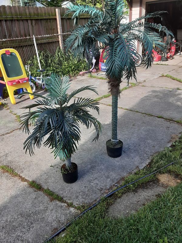 Palm trees decor for Sale in Cleveland, OH OfferUp