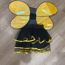 Bee costume (adult Or Teen) NEW