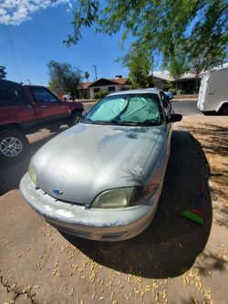 Cavalier