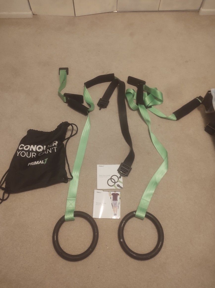 Olympic Ring Workout System
