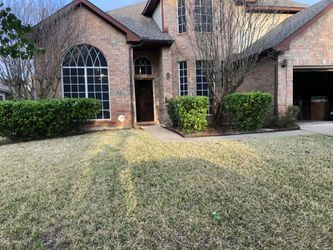 Lawn Mower For Sale