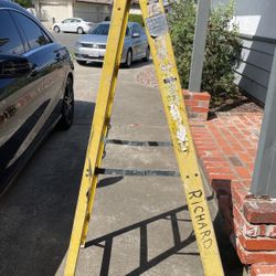 Ladder 5- Foot  Werner Type