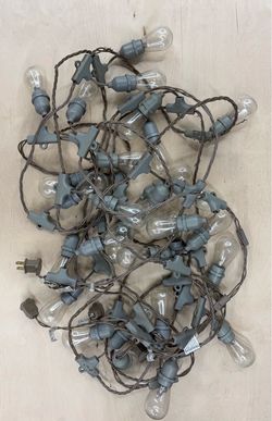 Outdoor String Lights with Bulbs (2 strands)