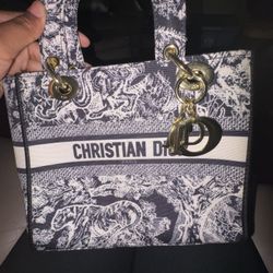 Christian Dior Book Tote mini bag