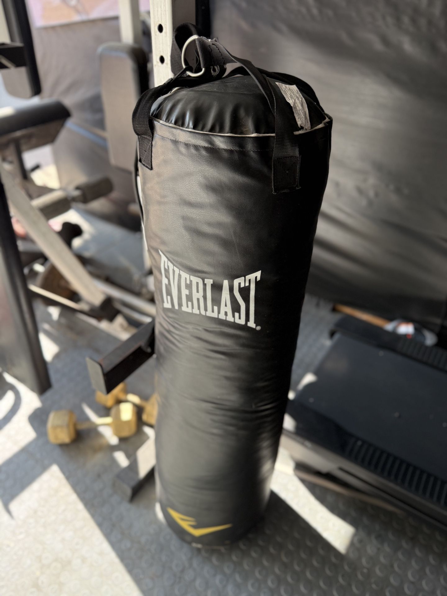 Everlast Punching Bag