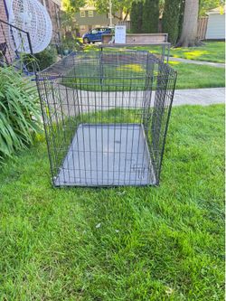 Large dog crate
