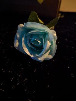 Teal Roses