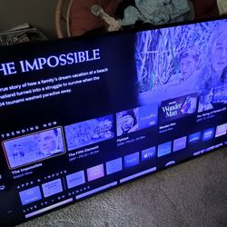 E60-E3 Vizio Cast Display Smart TV