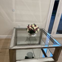 Antique mirror Coffee table
