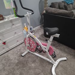Sunny Exercise Bike 