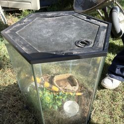 Hexagon Glass Reptile Tank