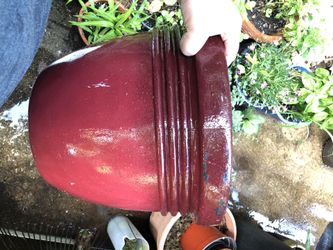 Plastic medium size plant pot