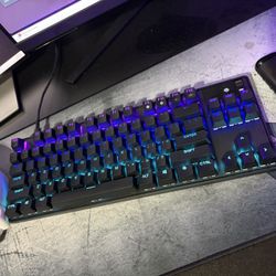 steel series TKL keyboard