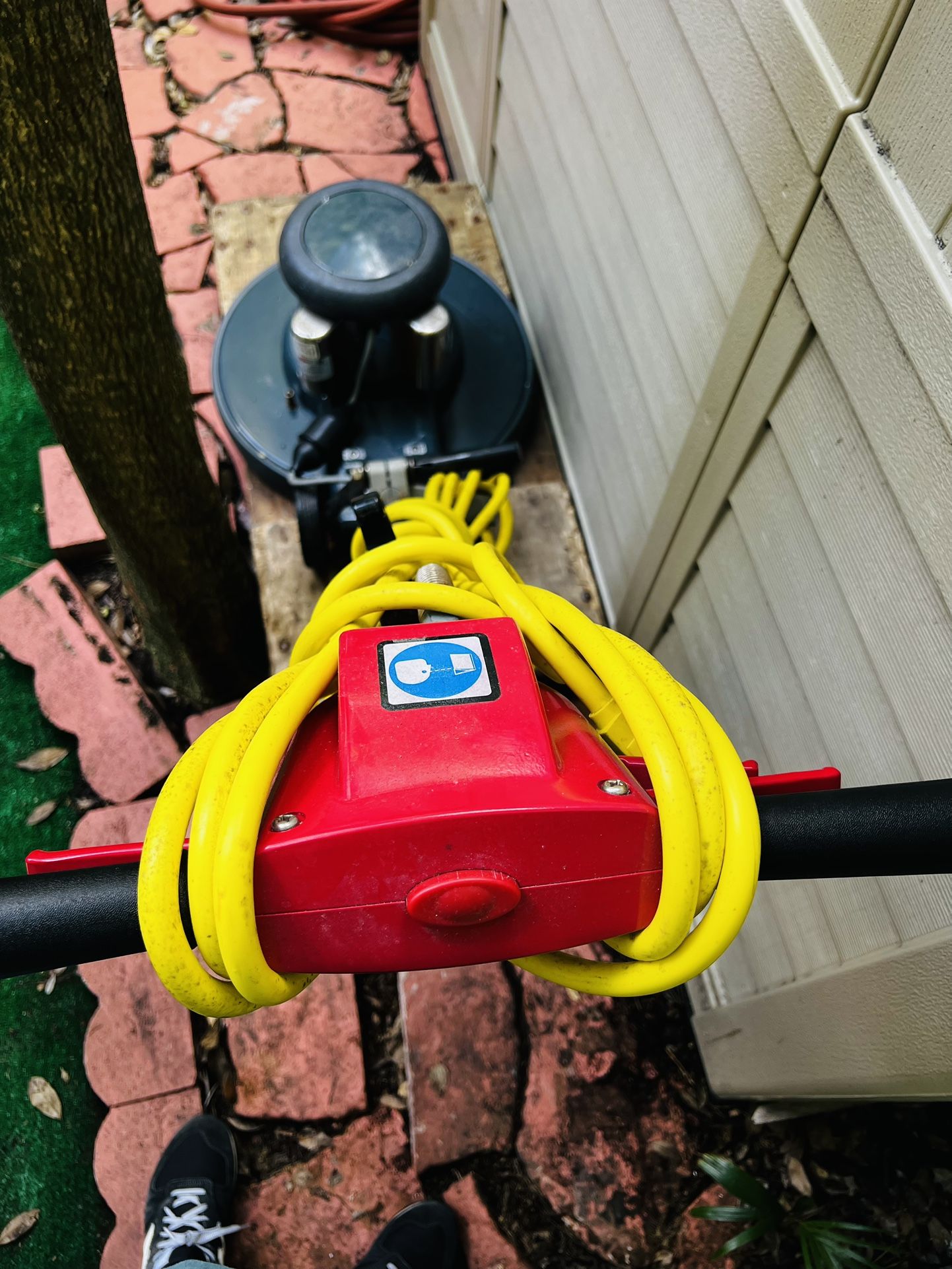 デュランタの魅力と育て方, image size:1442x1922