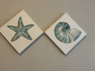 Sea Shell Wall Decor