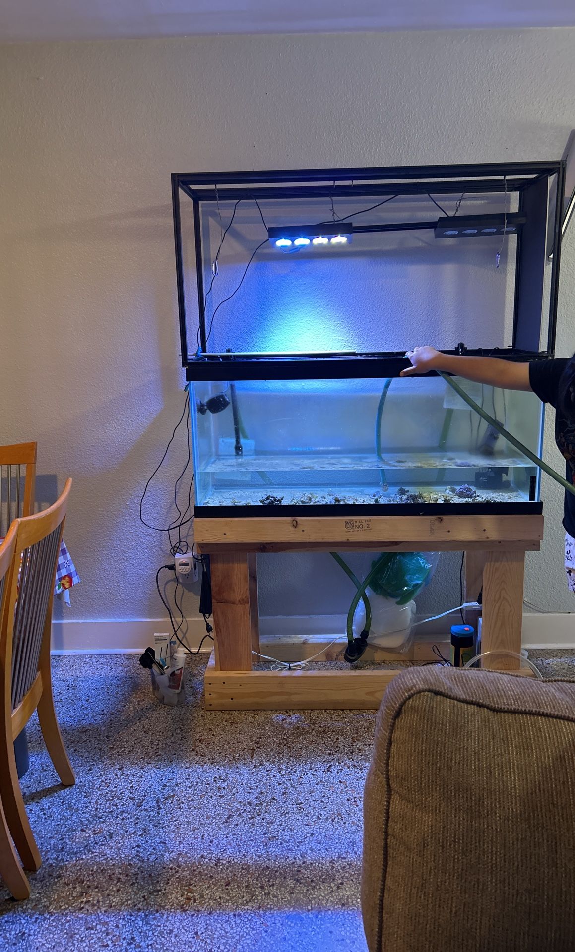saltwater fish tank