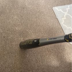 Easton Project 3 Baseball Bat