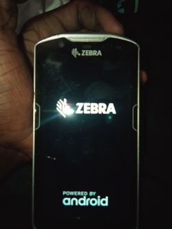 Zebra