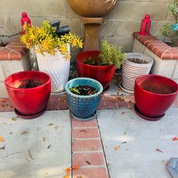 Outdoor Ceramic Pots