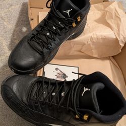 Nike Air Jordan 12 Masters Size 13