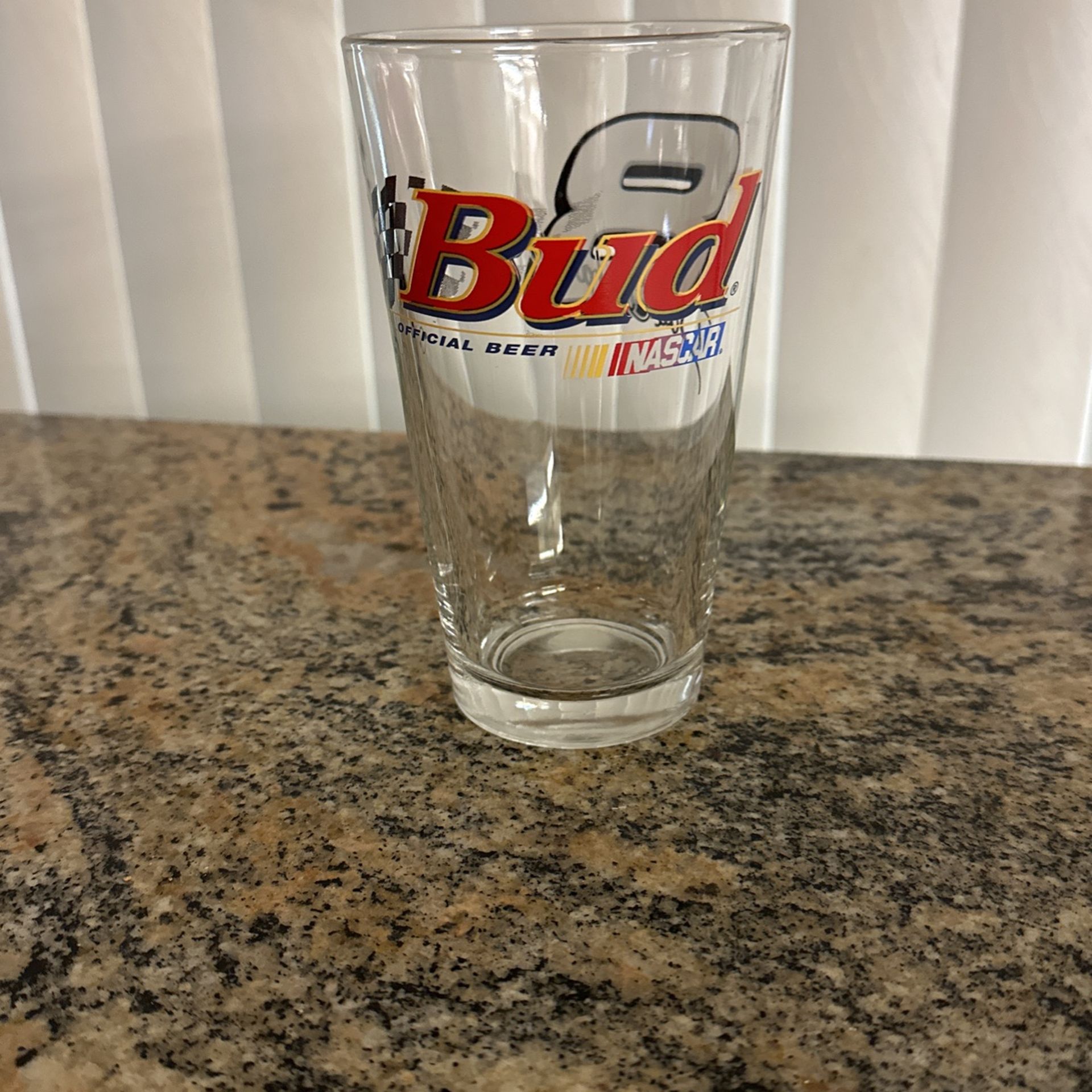 Dale Earnhardt Junior