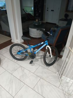 20" Schwinn koen bike