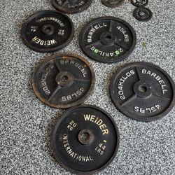Gym Weights
