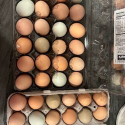 Fresh Organic Eggs