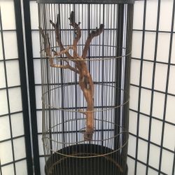 Vintage Black Bird Cage