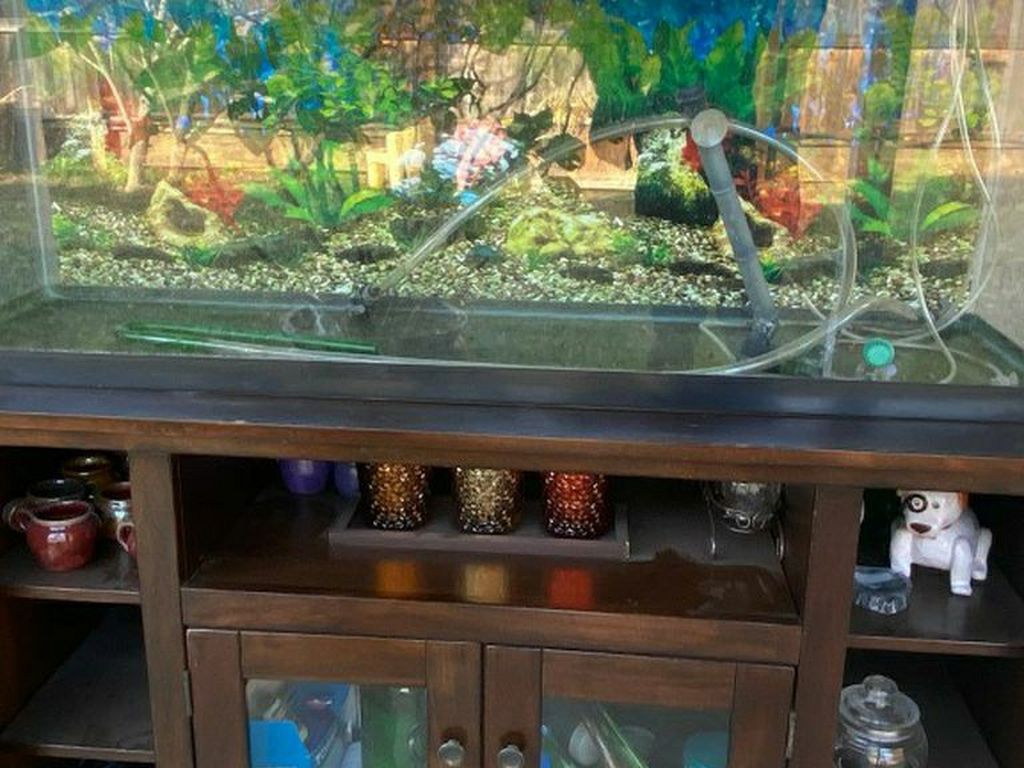 Fish Tank (75 Gallon)