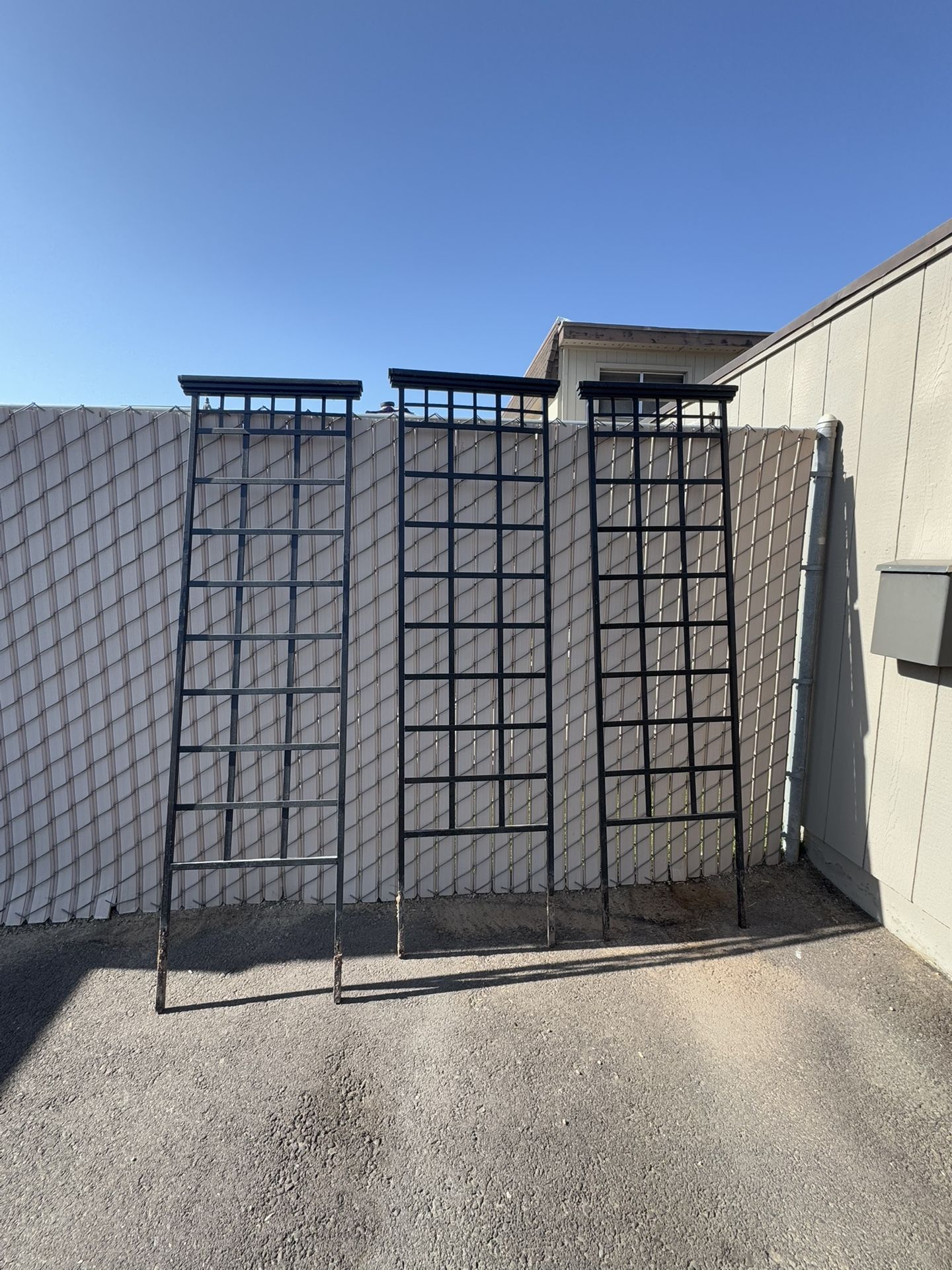 Vine Trellis