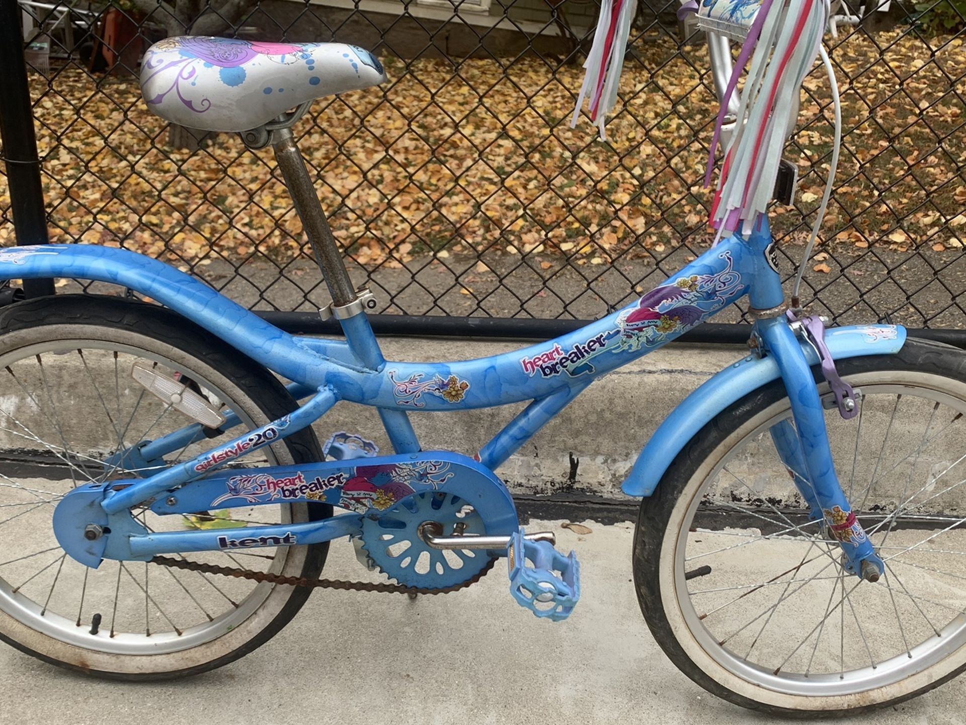 20” Wheels Kid Bike