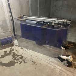 100 Gallon Saltwater Fish Tank 