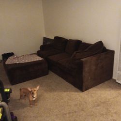 Brown Couch