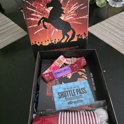 Stagecoach general Admission