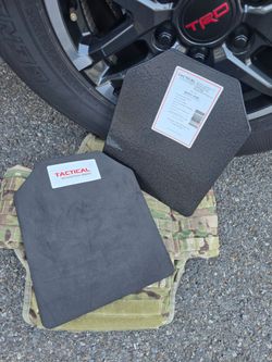 Plate carrier with plates