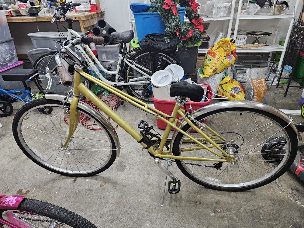 $50 For Both-Two stylish bicycles, perfect for different types of riders!