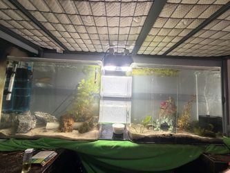 Custom built fish tank