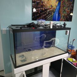 Aquarium