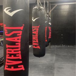 Everlast Boxing Bag 