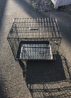 2-Door Dog Crate, 24"L x 18"W x 19"H