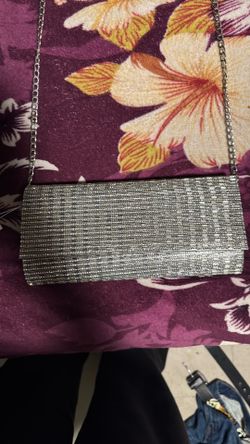 sliver purse