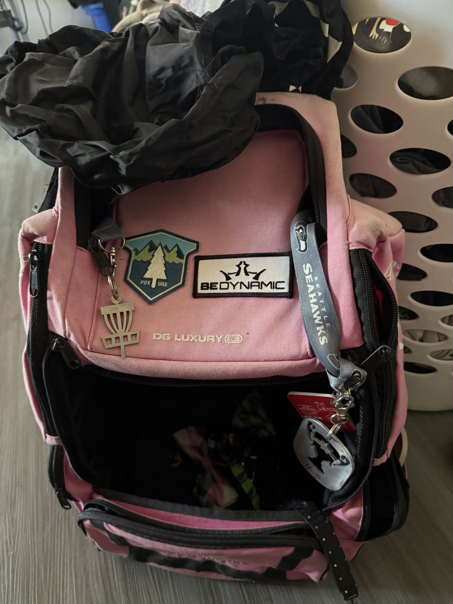 Disc Golf Bag