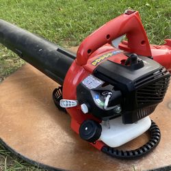 Homelite Blower/Vac