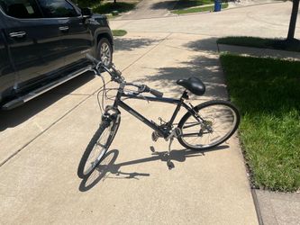 Nishika Adult bicycle