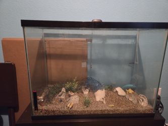Fish Tank