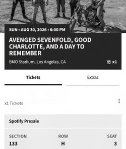 Avenged Sevenfold Good Charlotte concert