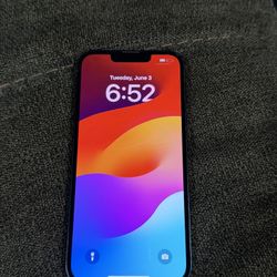 Blue iPhone 13