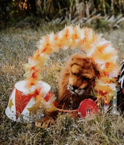 Circus Props – Ringmaster Pedestal and Ring of Fire